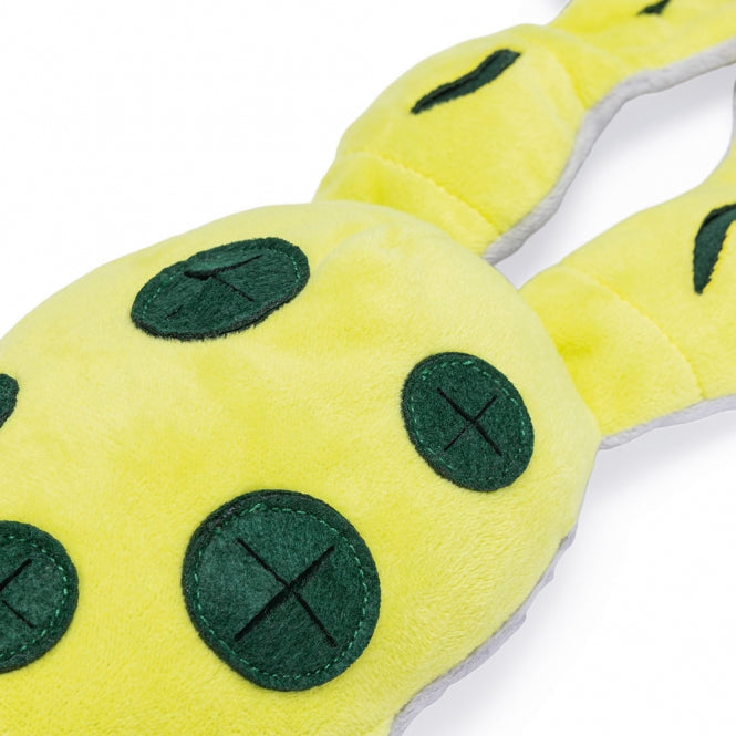 Beeztees Hide And Seek Frosch – Plüsch-Schnüffelspielzeug für Hunde