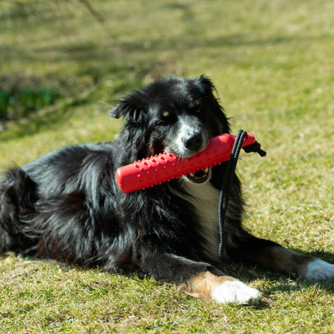 PROCYON TPR Trainingsdummy Rot – Schwimmfähiges Kauspielzeug & Apportier-Dummy für Hunde