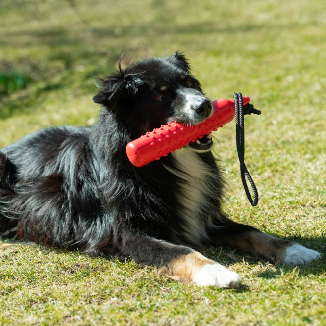 PROCYON TPR Trainingsdummy Rot – Schwimmfähiges Kauspielzeug & Apportier-Dummy für Hunde
