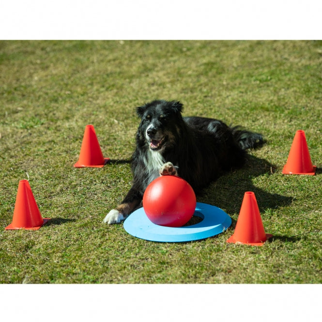 PROCYON Dog Golf Set – Interaktives Hundespielzeug & Intelligenzspiel für drinnen & draußen