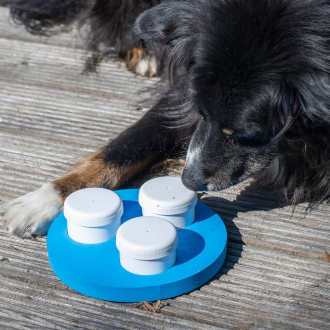 PROCYON Schnüffel-Ring – Interaktives Intelligenzspielzeug & Schnüffelteppich für Hunde