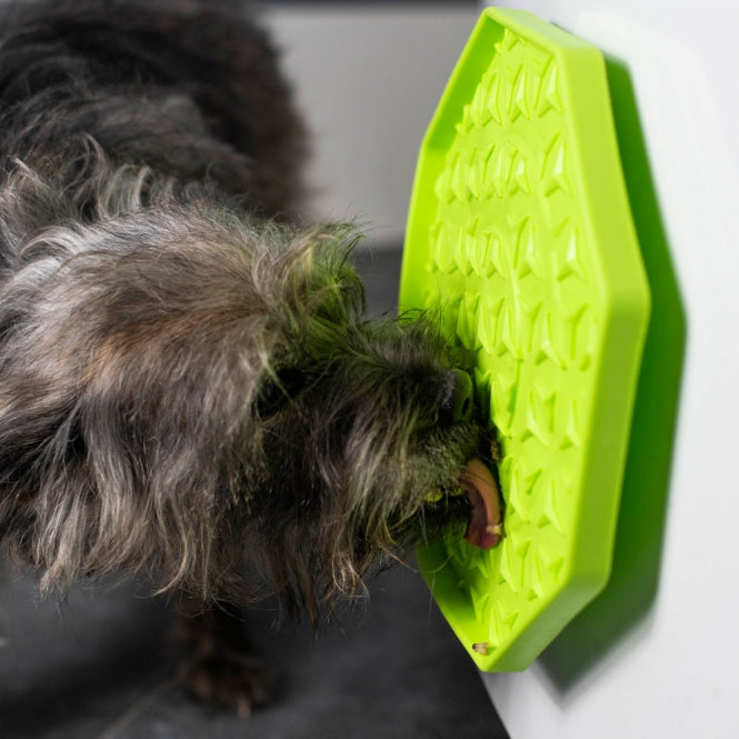 PROCYON Ladi Mat Schleckplatte Wobbler – Interaktiver Schlecknapf & Anti-Schling-Lick-Mat