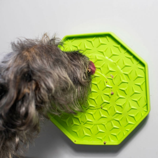 PROCYON Ladi Mat Schleckplatte Wobbler – Interaktiver Schlecknapf & Anti-Schling-Lick-Mat